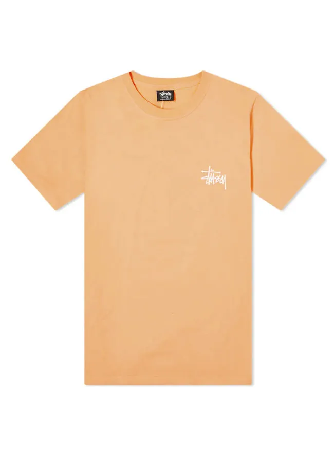 Basic Stussy Tee 1904649