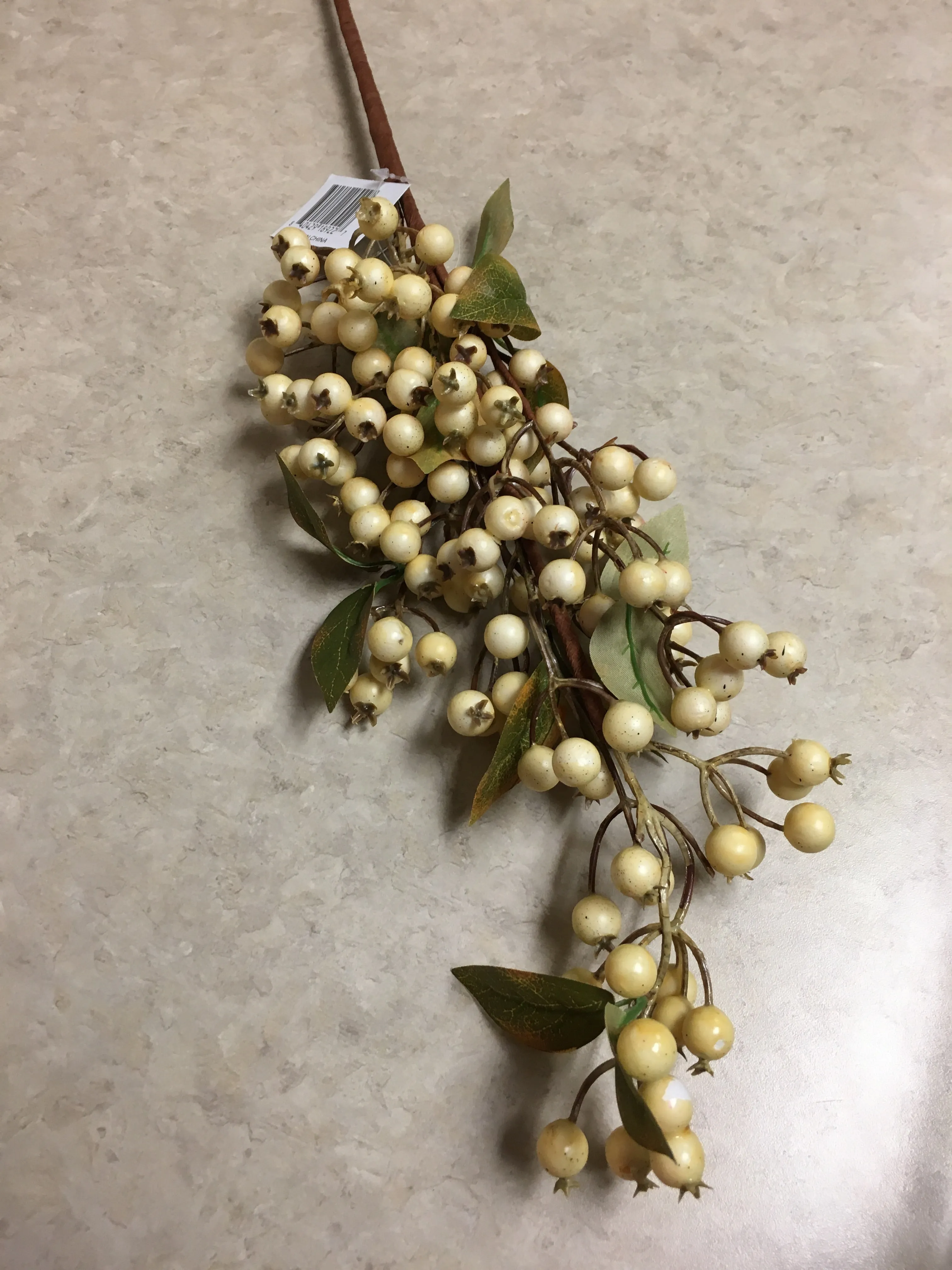 Berry Spray with Green Leaves