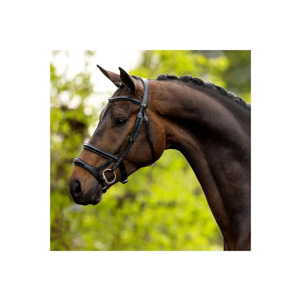 BR Bath Bridle With Double Noseband Black