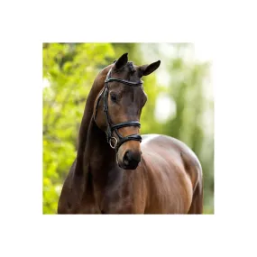 BR Bath Bridle With Double Noseband Black