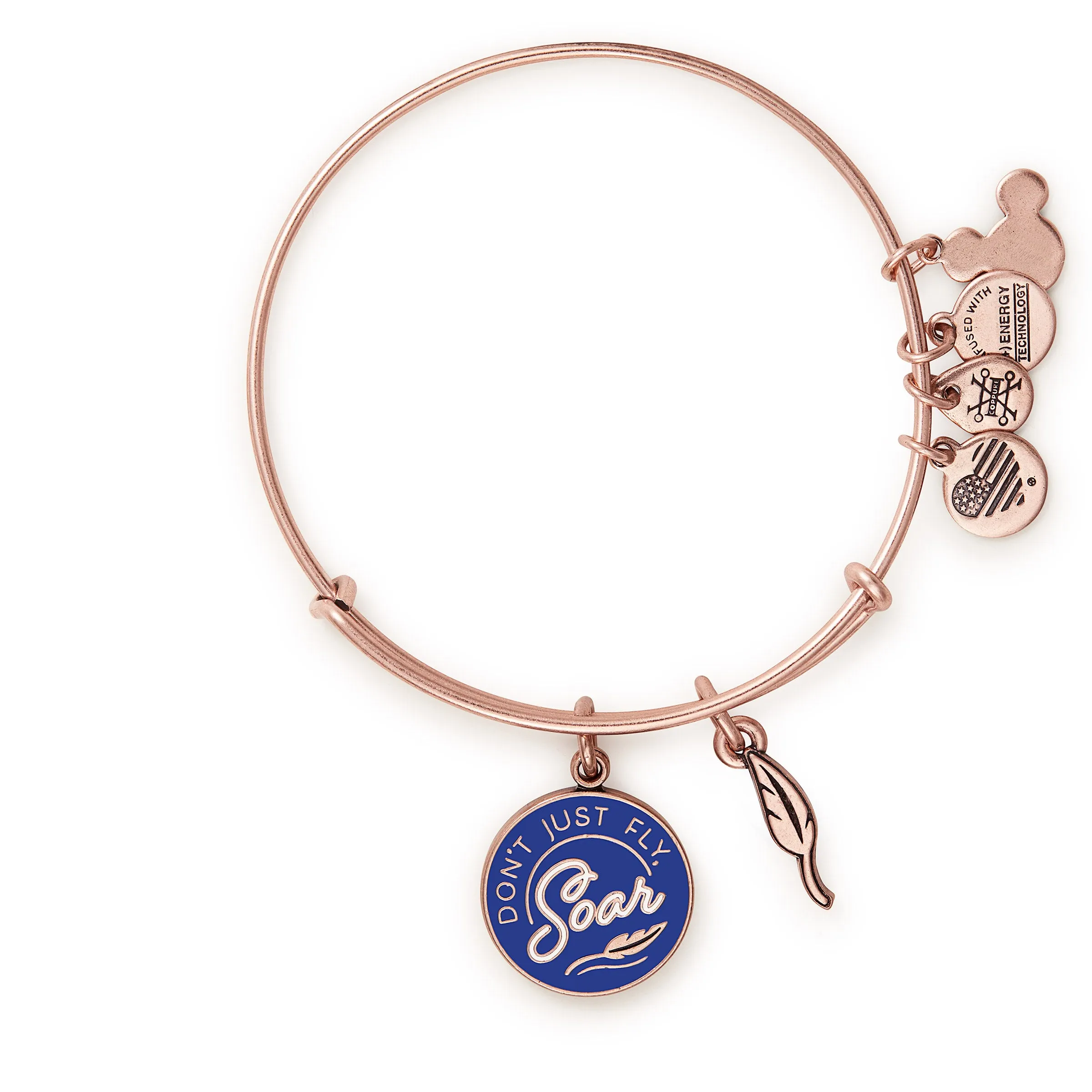 Disney Dumbo 'Don't Just Fly, Soar' Duo Charm Bangle