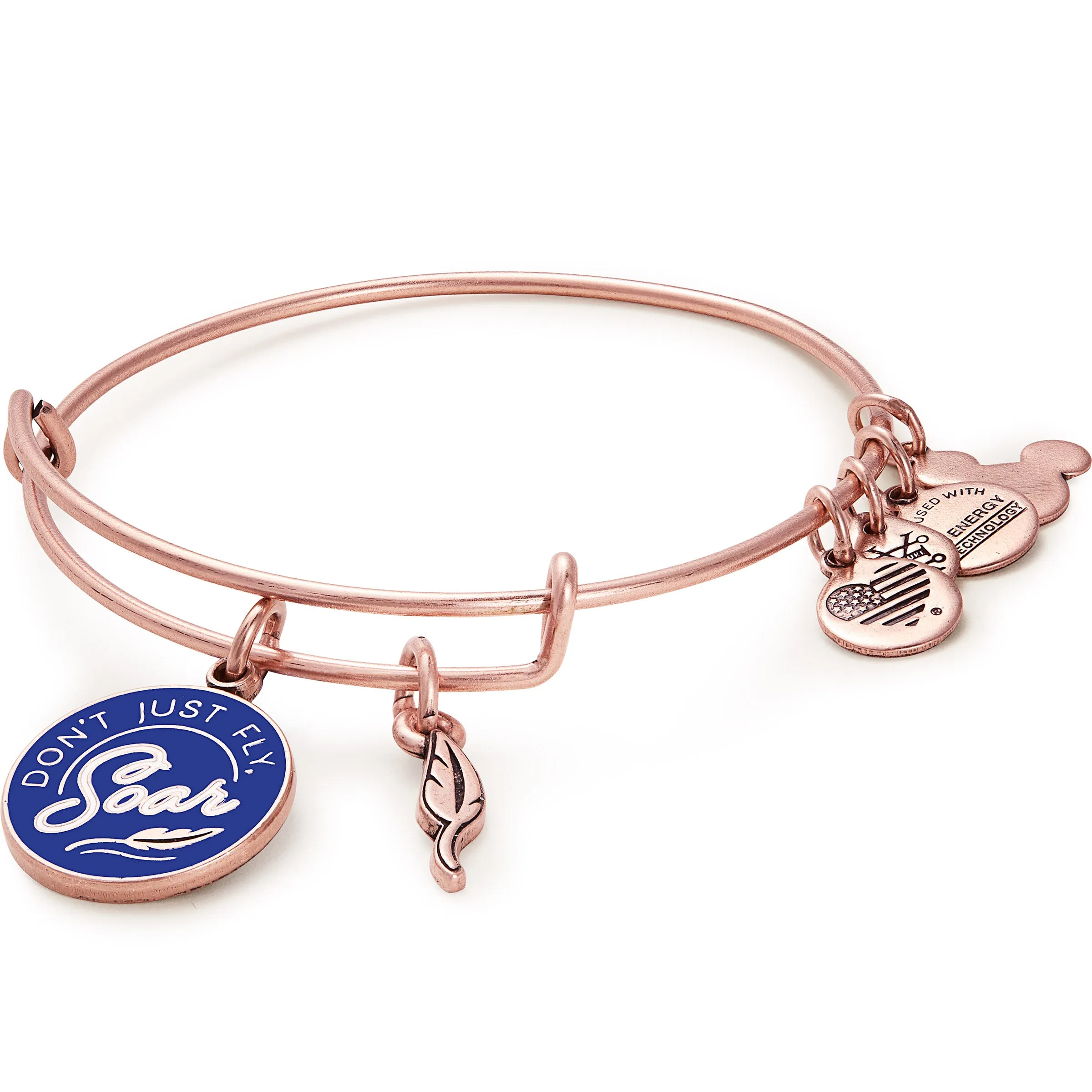 Disney Dumbo 'Don't Just Fly, Soar' Duo Charm Bangle