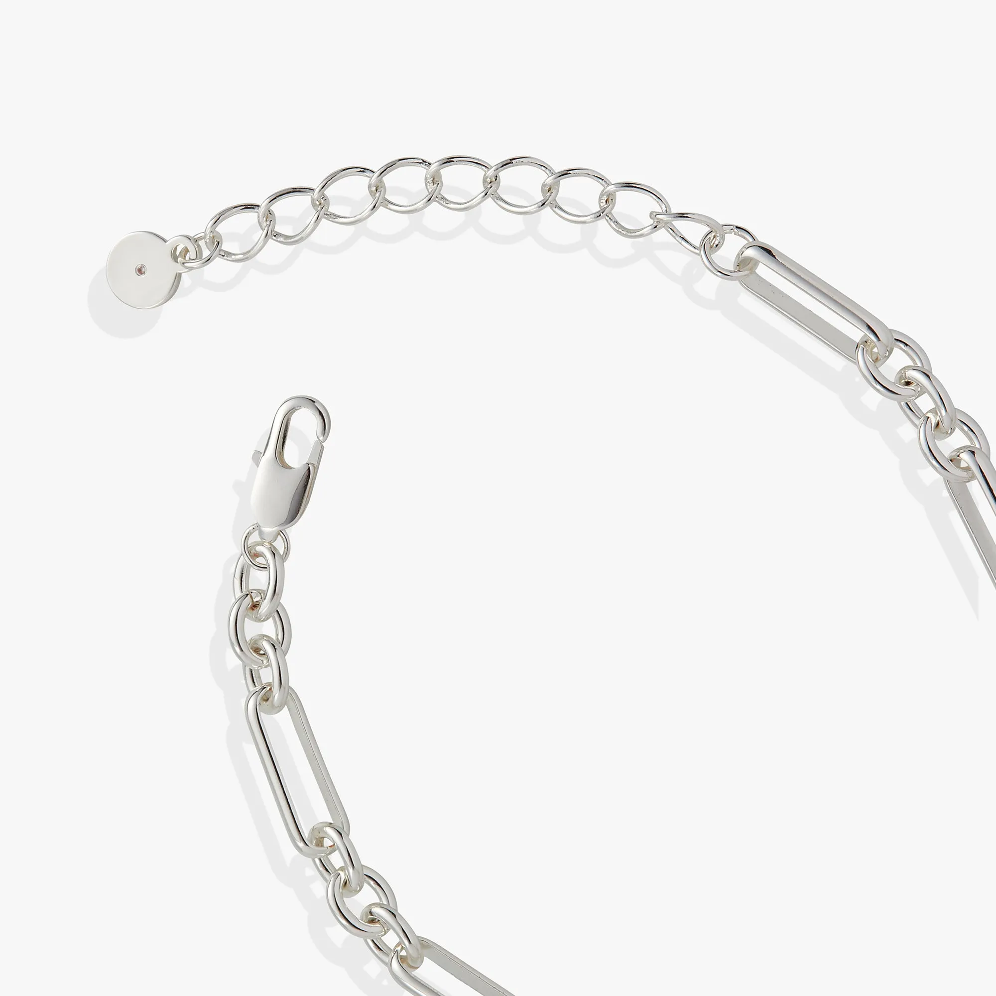 Horseshoe Chain Bracelet