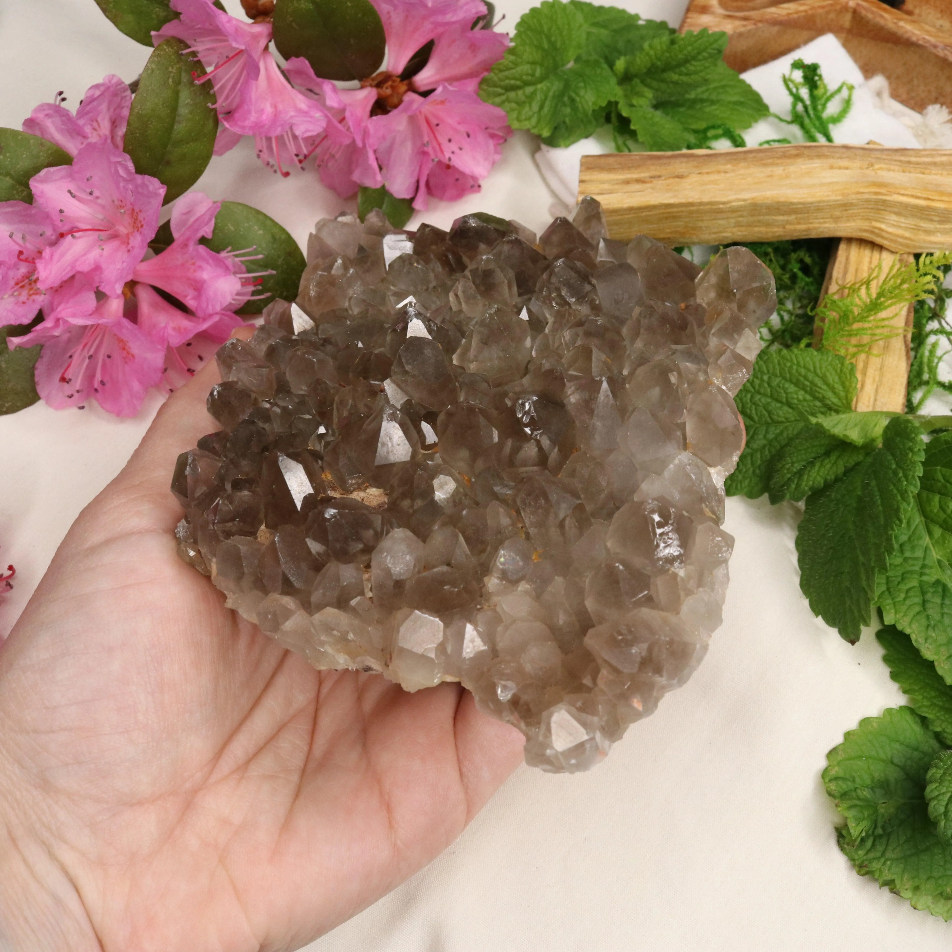 Large Grade A Smoky Quartz Cluster ~ Grounding and Meditative