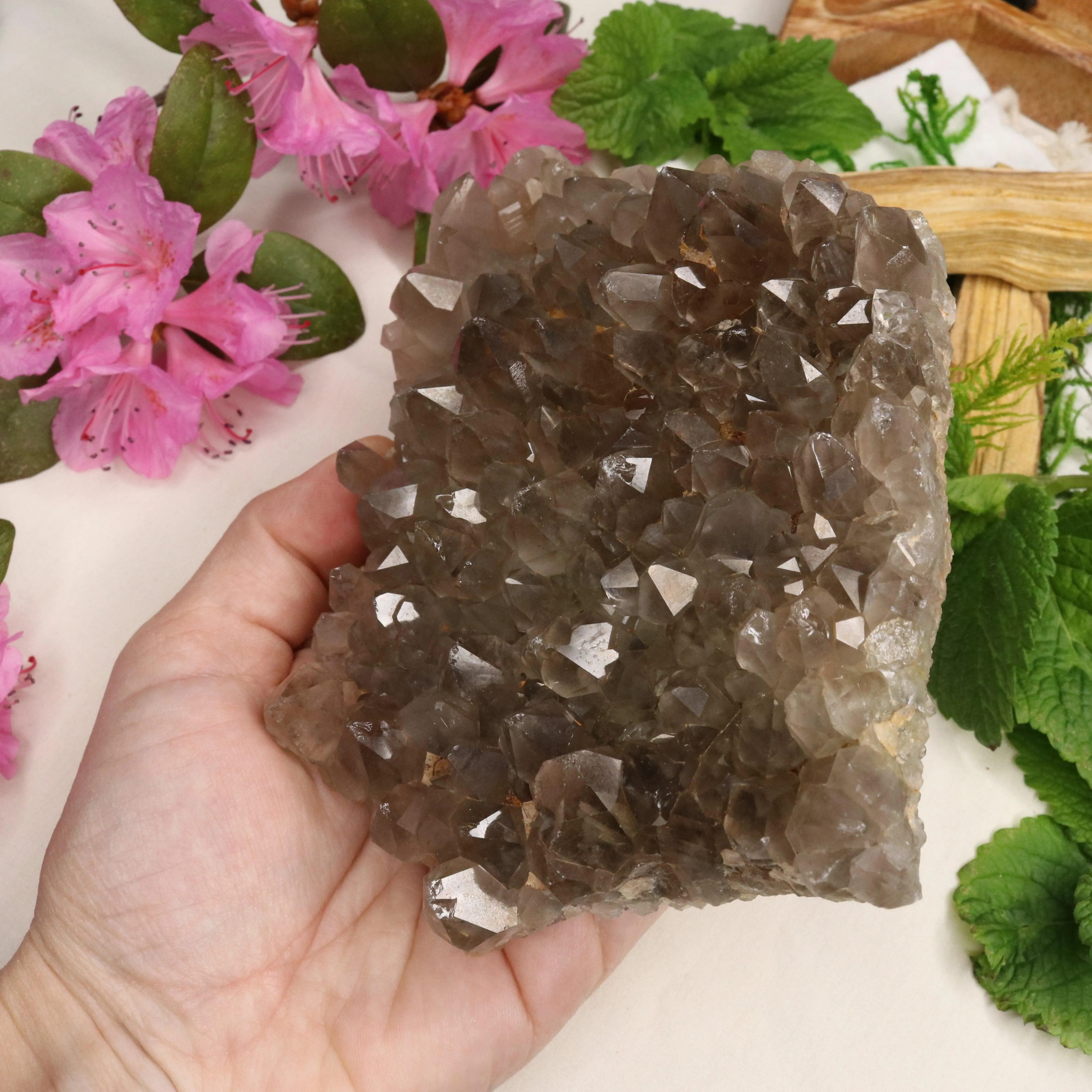 Large Grade A Smoky Quartz Cluster ~ Grounding and Meditative