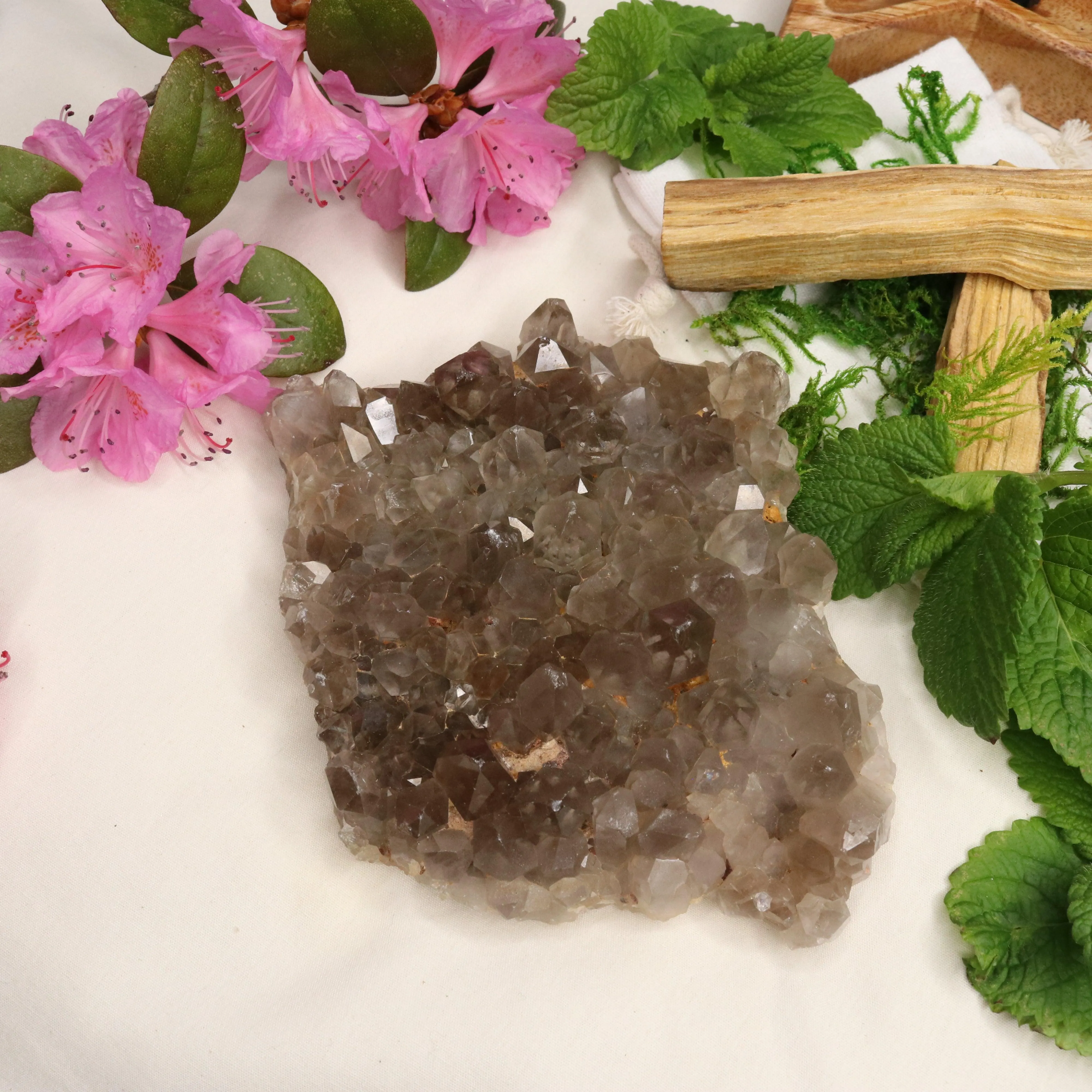 Large Grade A Smoky Quartz Cluster ~ Grounding and Meditative