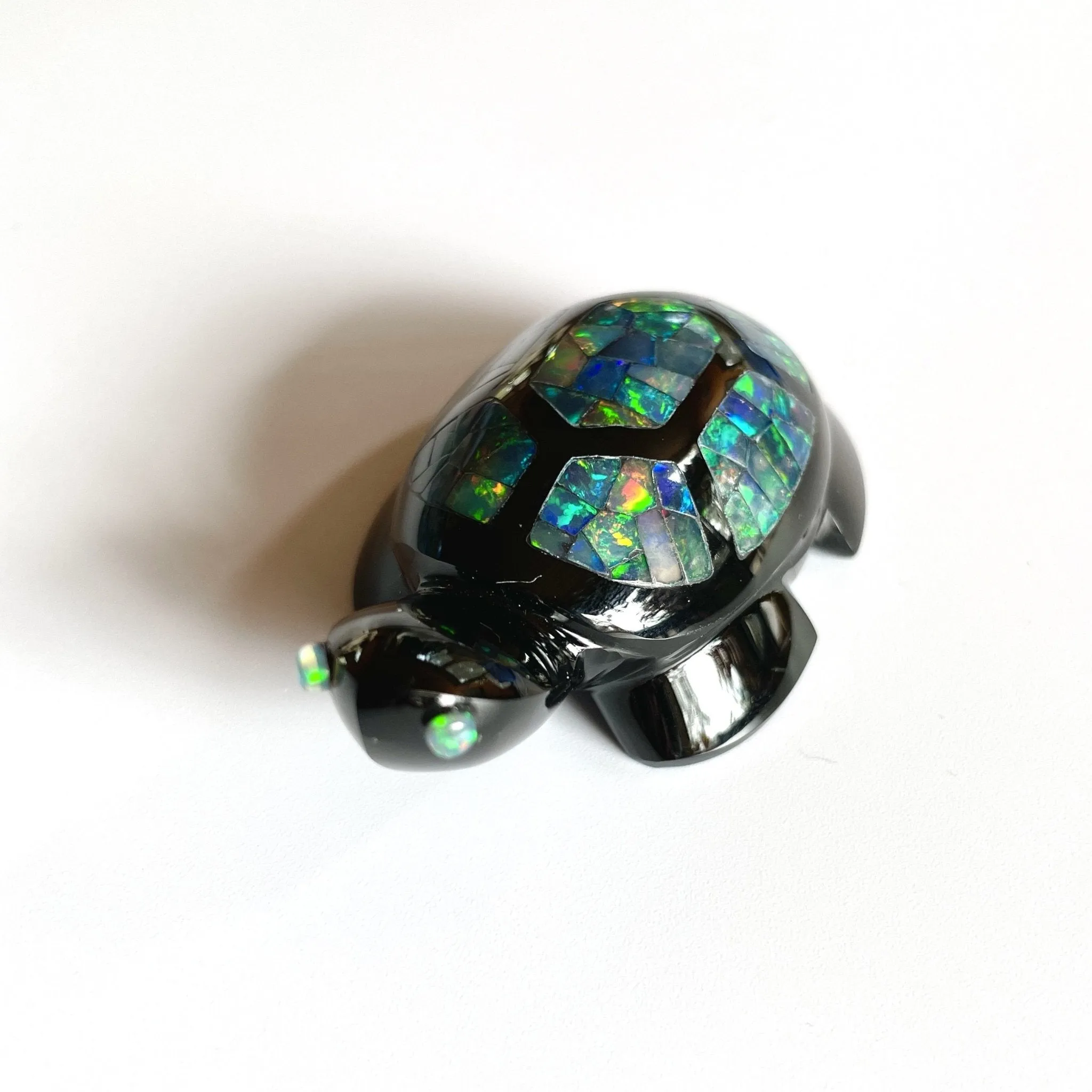 Opal Turtle