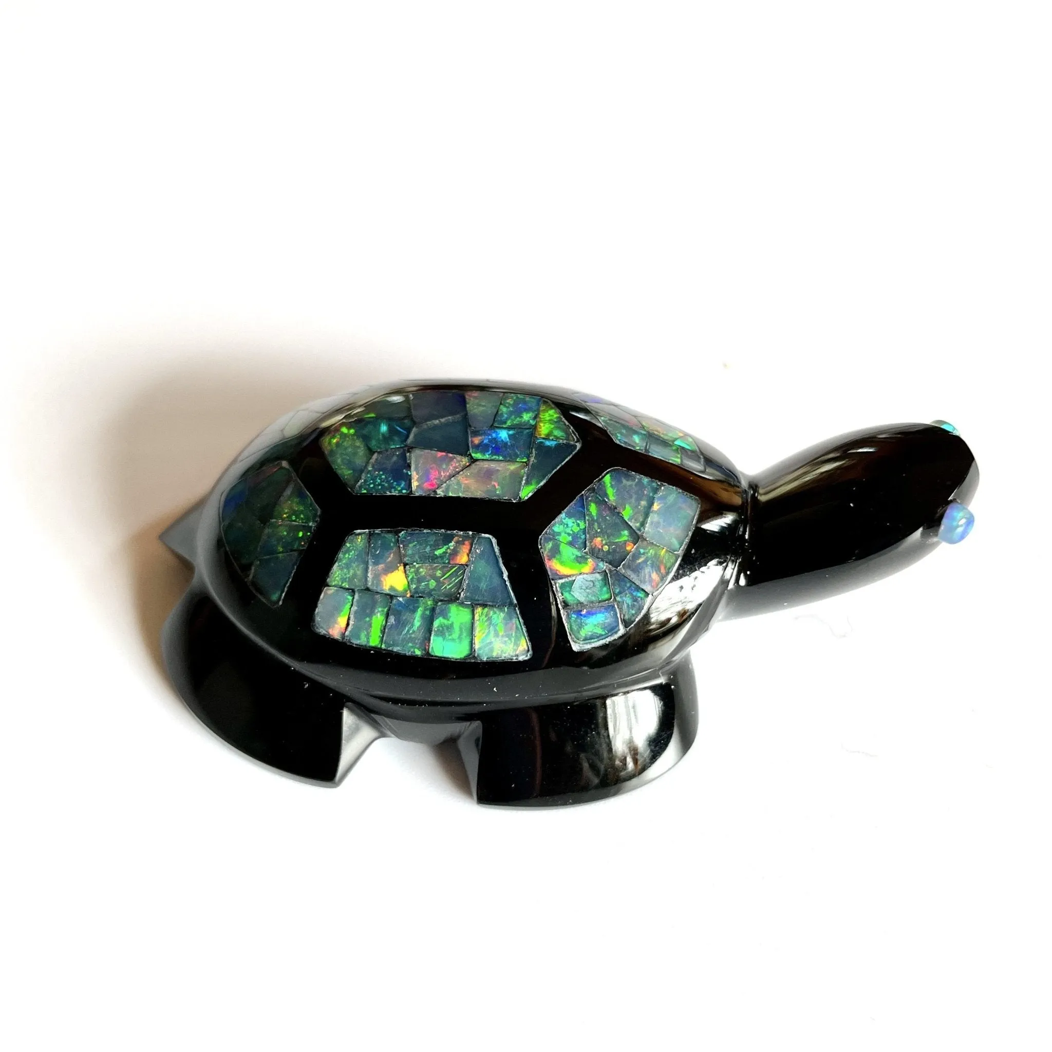 Opal Turtle