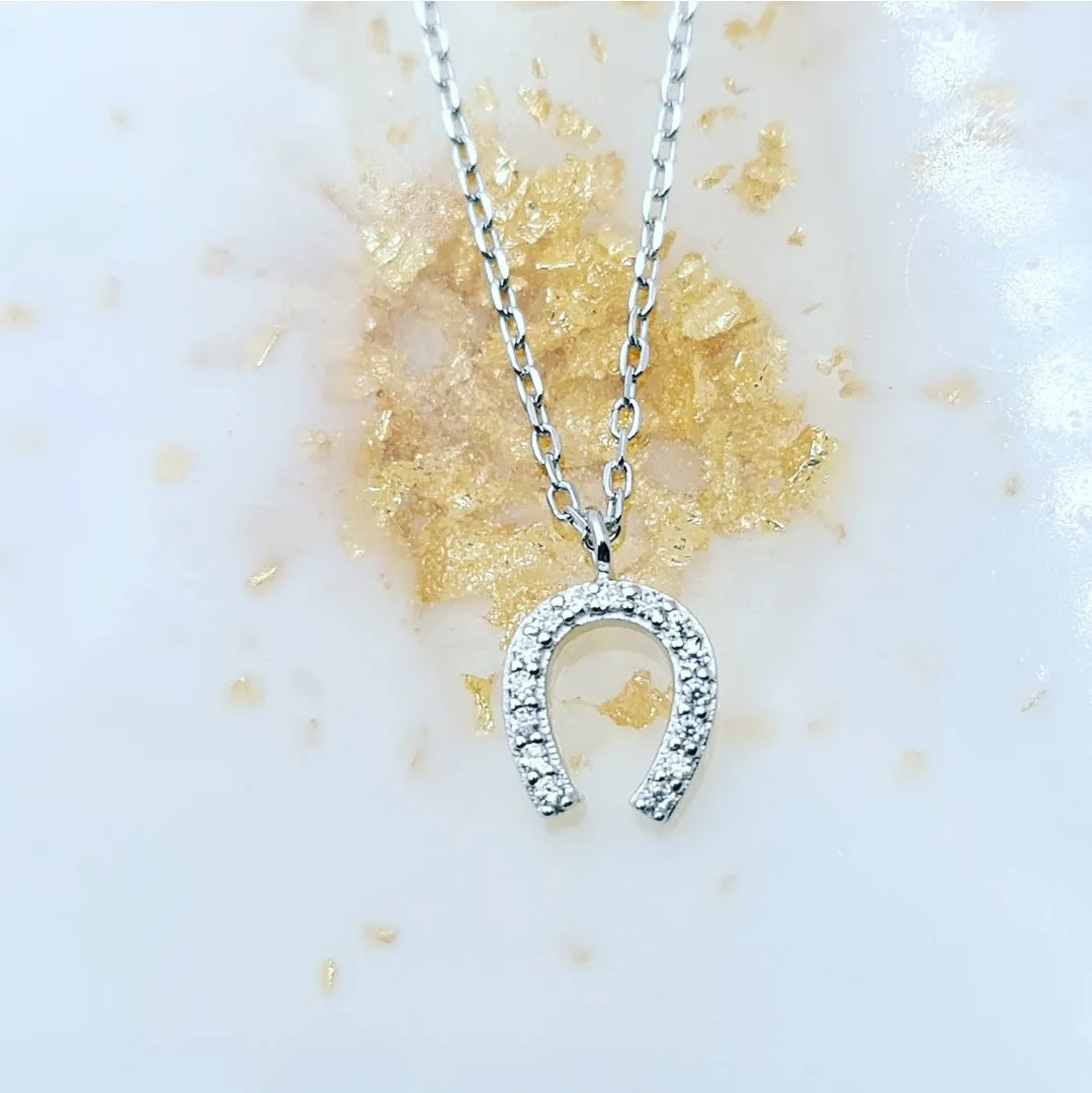 Pretti horseshoe necklace