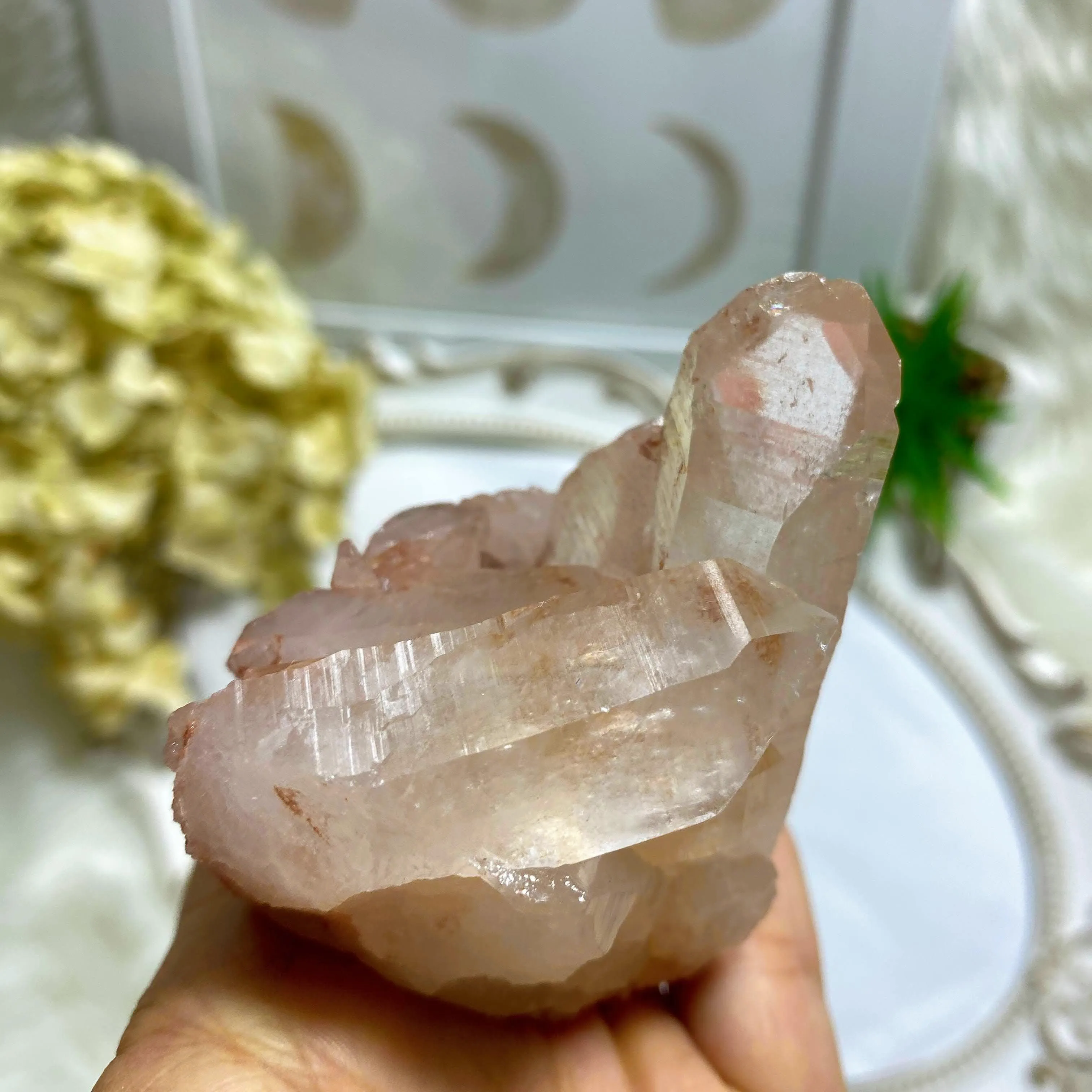 Record Keepers~ Rare, Large Rosy Pink Samadhi Himalayan Quartz Self Healed Cluster